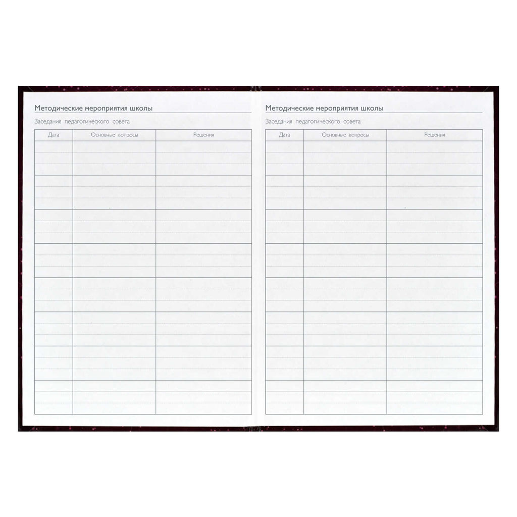 Ежегодник учителя арт. 62336 БОРДОВАЯ ФАКТУРА - Феникс+ фото 3