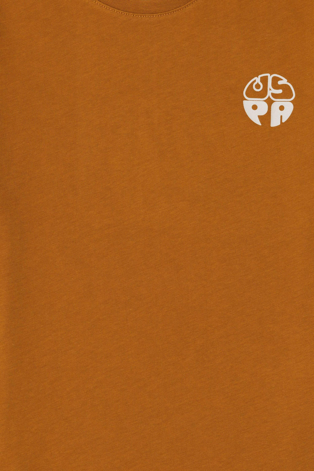 Базовая футболка Coconut для мальчиков Неожиданная скидка в корзине - U.s. polo assn фото 5