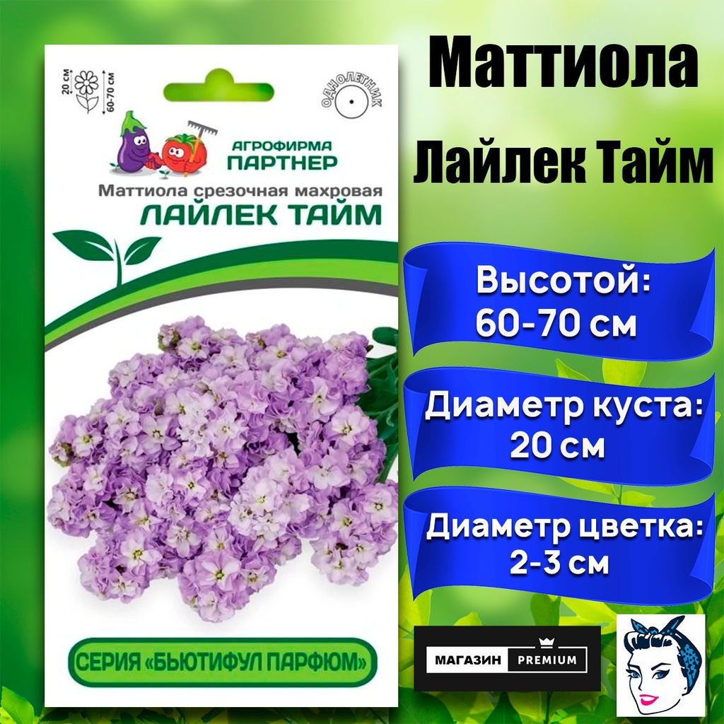 3323P Маттиола срезочная махровая "Бьютифул Парфюм" ЛАЙЛЕК ТАЙМ 10шт