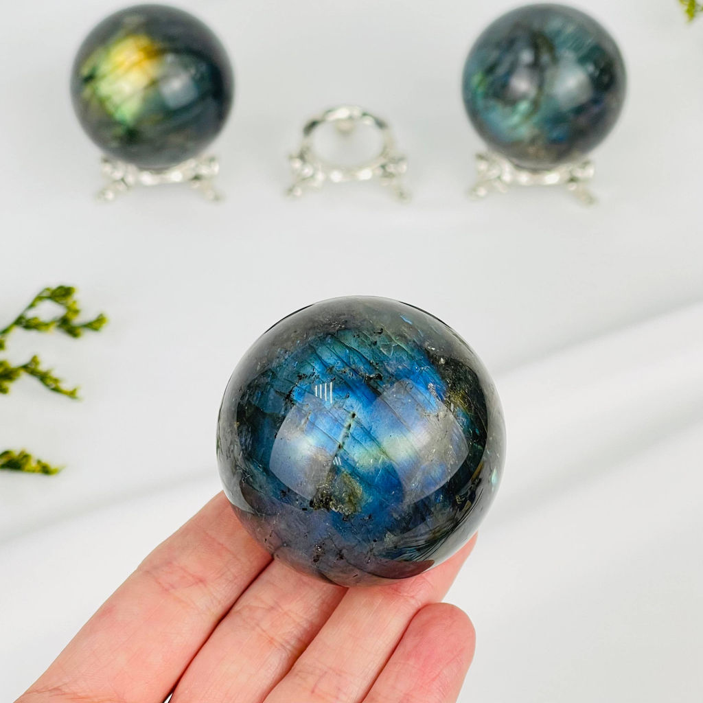 Шар из Лабрадора на подставке