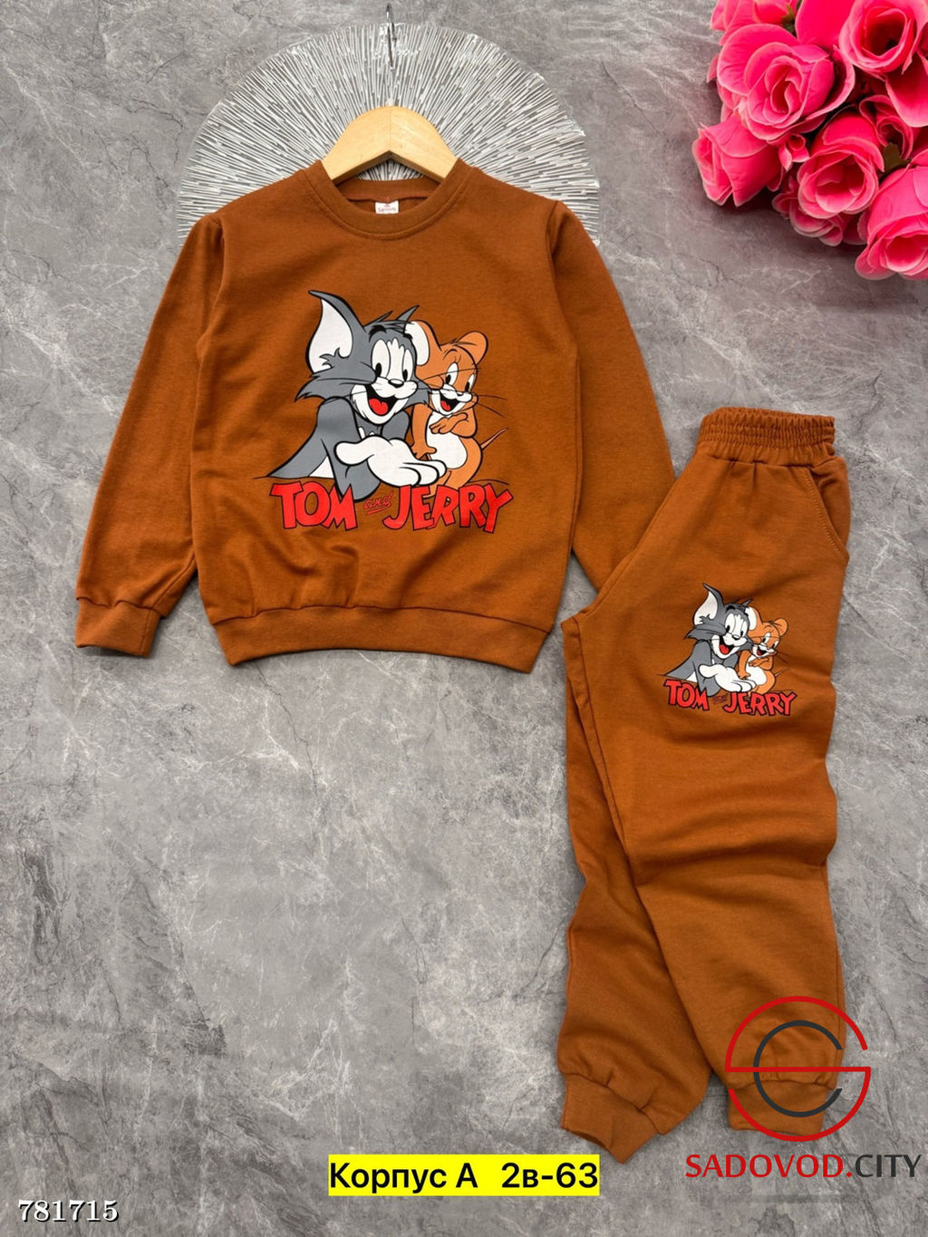 Костюм спортивный двойка