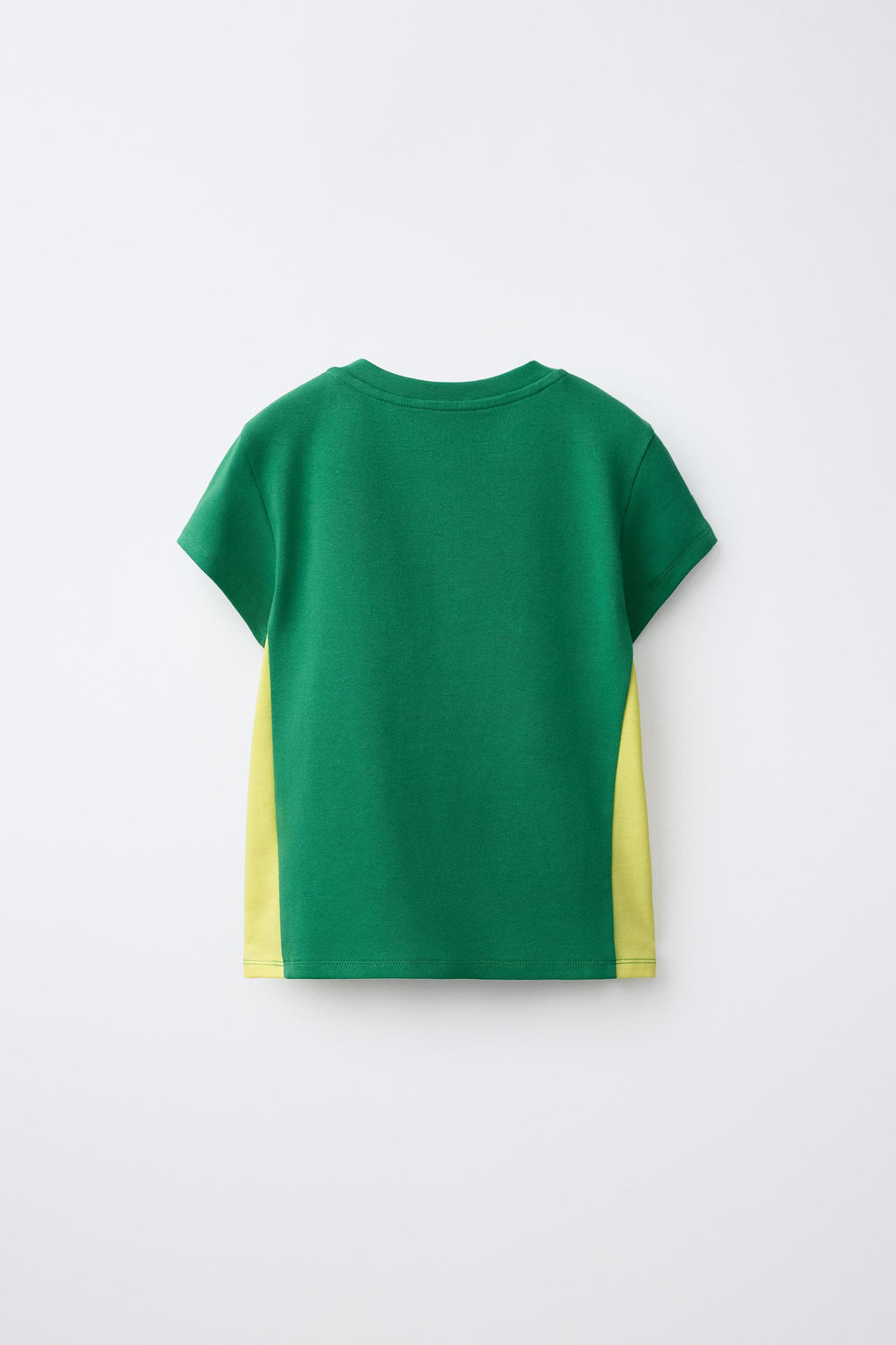 CAMISETA ESTAMPADO ARGENTINA / VERDE - Zara фото 4
