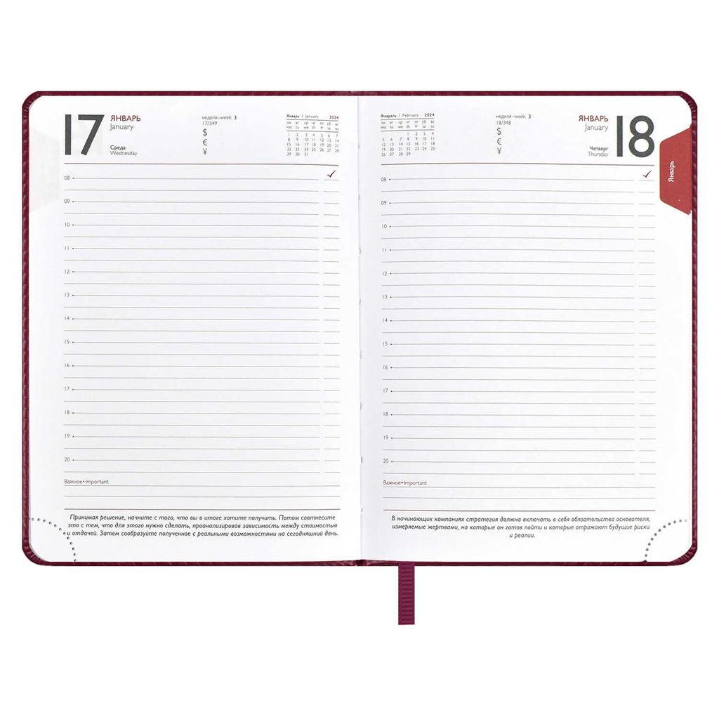Ежедневник датированный 2024 ESCALADA, А6+, 176 л., арт. 63788/ 20 САРИФ БОРДОВЫЙ  фото 10
