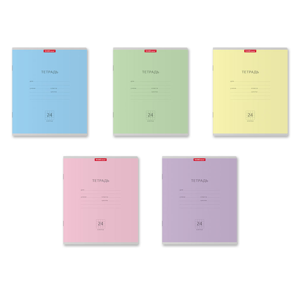Цена за 10 шт. Тетрадь школьная ученическая ErichKrause Классика ассорти, 24 листа, клетка (в плёнке по 10 шт.)_MIX-PACK  фото 12