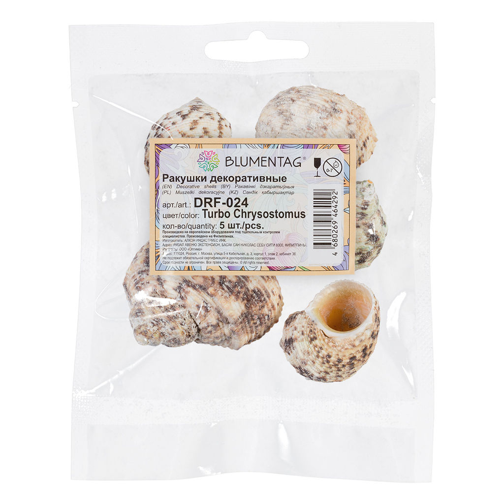 Blumentag / Zlatka DRF-024 Ракушки морские 5 шт. 6.9 см Turbo Chrysostomus