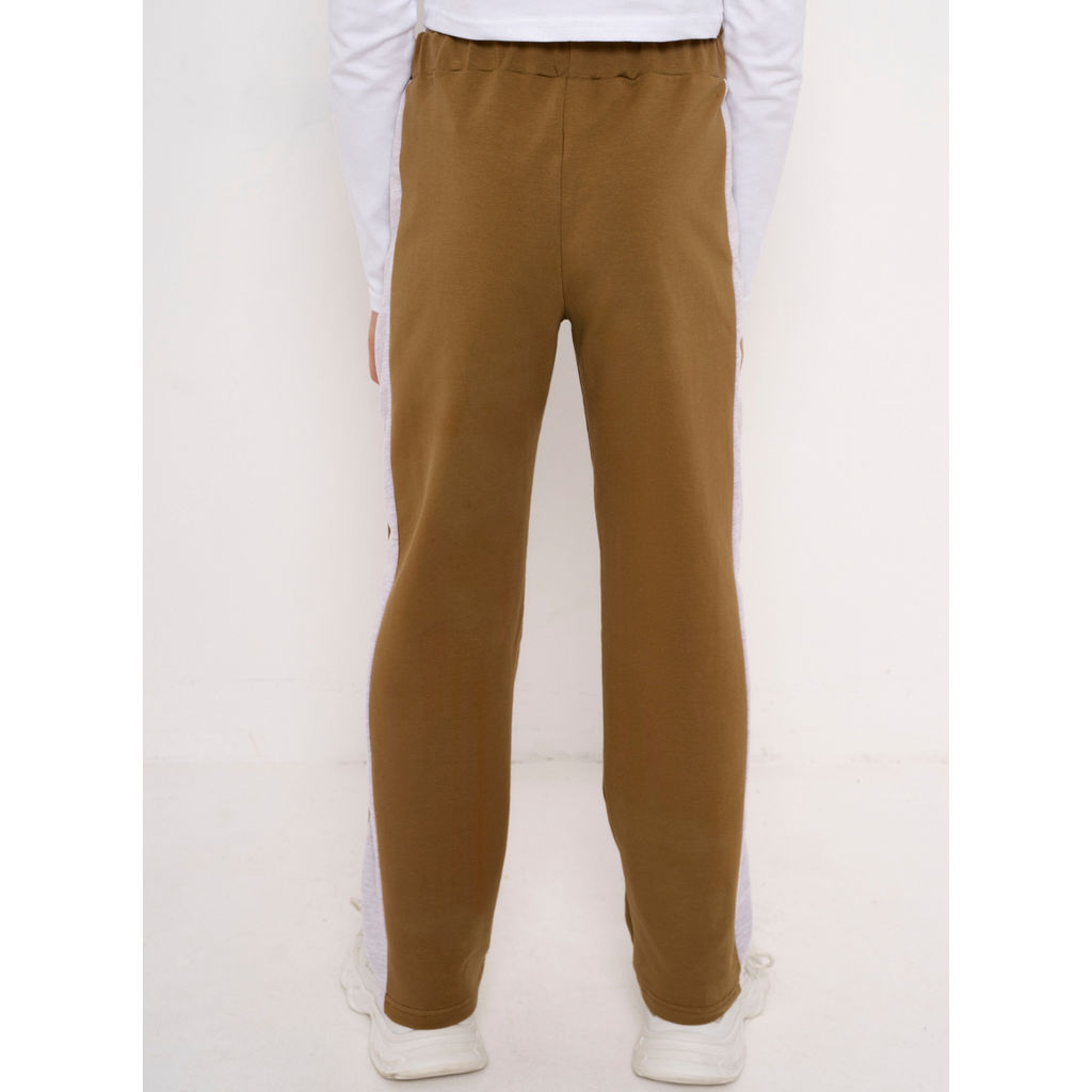 Штаны футер 2х нитка петля 1271320203