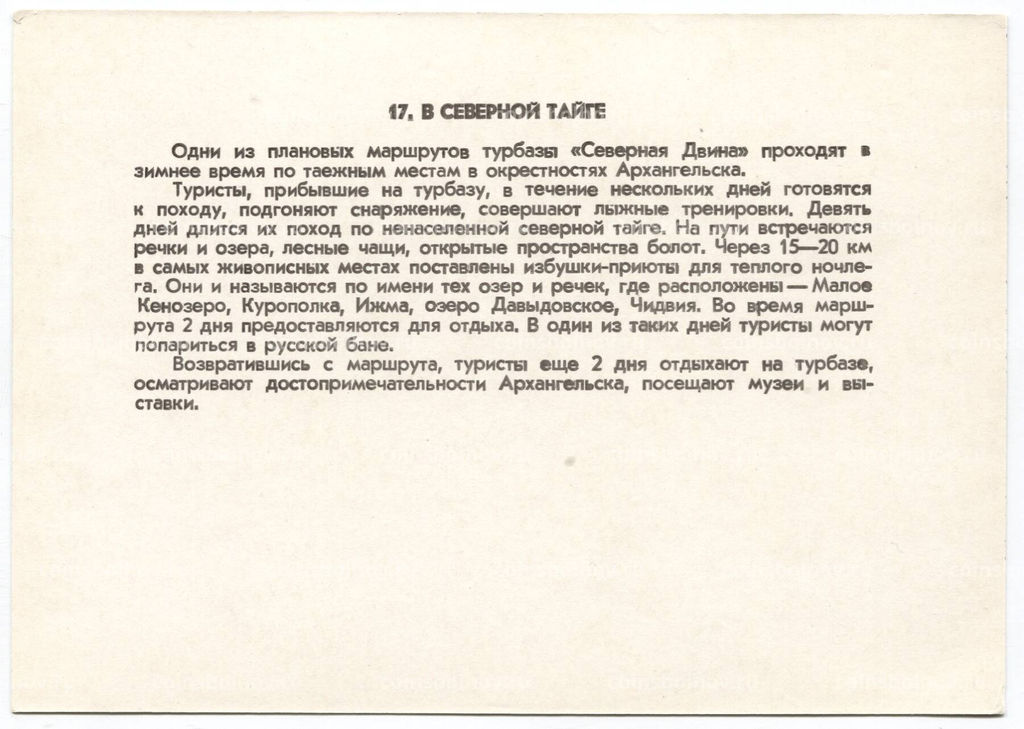 Открытка В северной тайге