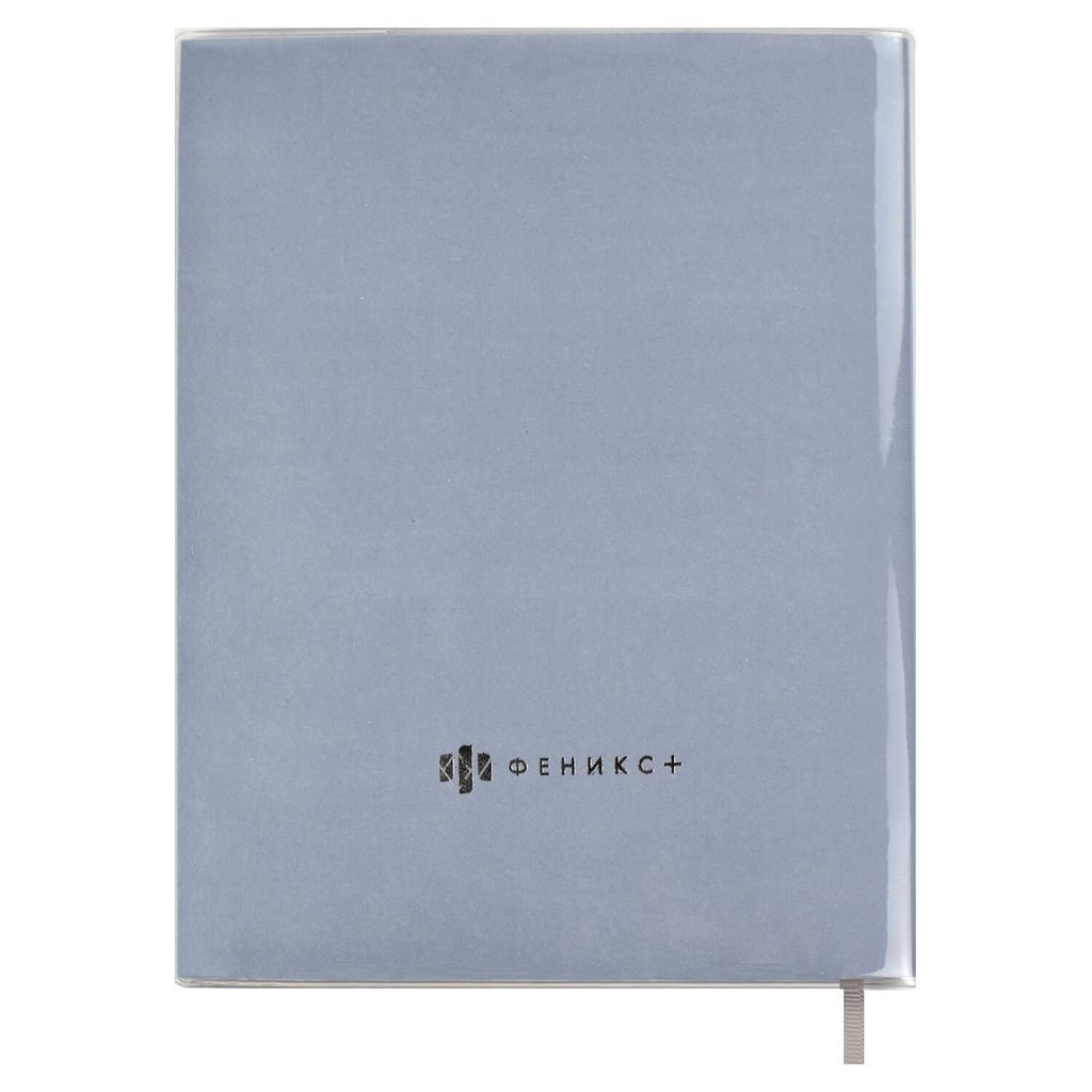 Дневник школьный арт. 54188 / 15 КОТ - Феникс+ фото 9