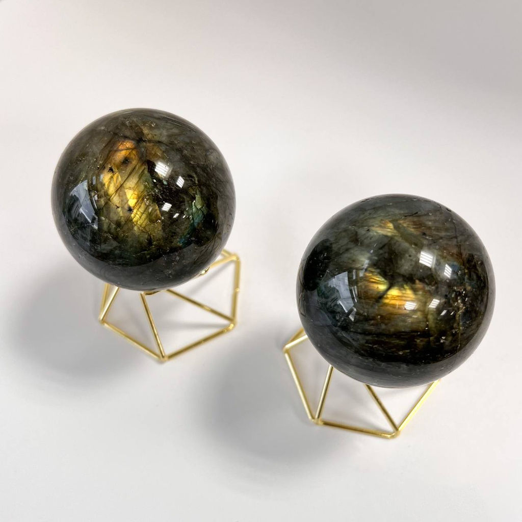 Шар из Лабрадора на подставке