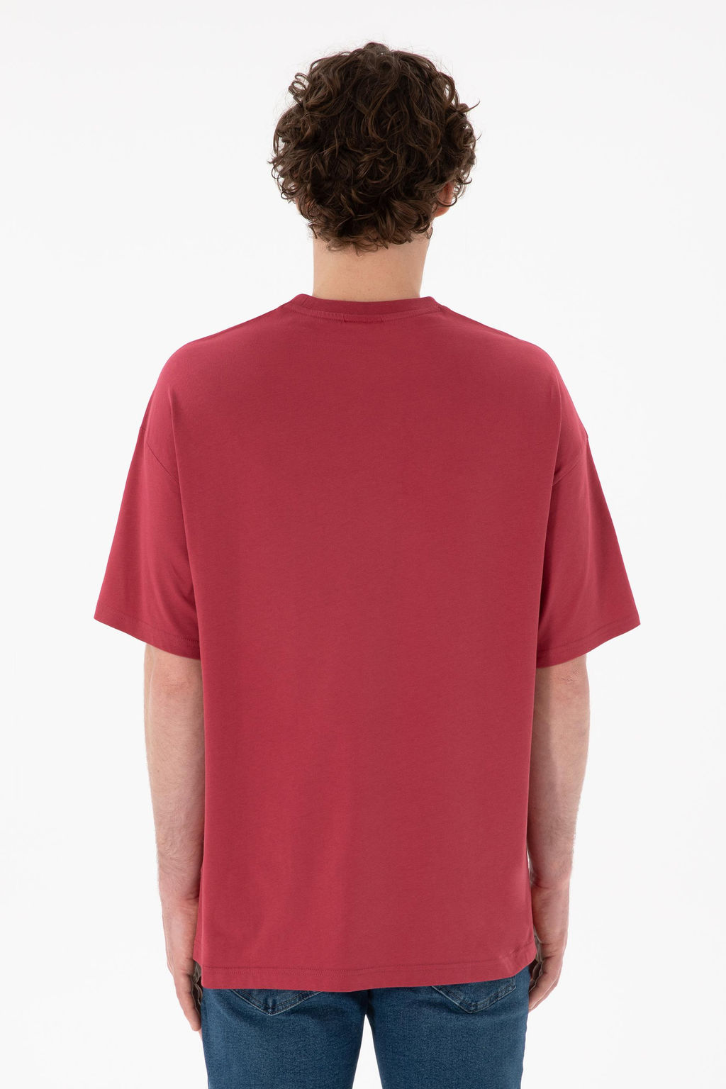 Erkek Oversize Fit Bisiklet Yaka Vi_ne Ti__rt Sepette S_rpriz _ndirim - U.s. polo assn фото 6