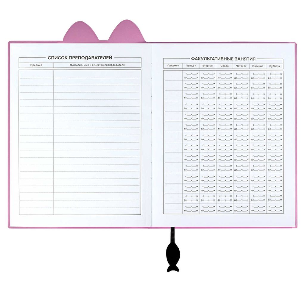 Дневник школьный арт. 58926 / 15 КРЭЙЗИ КОТ - Феникс+ фото 5