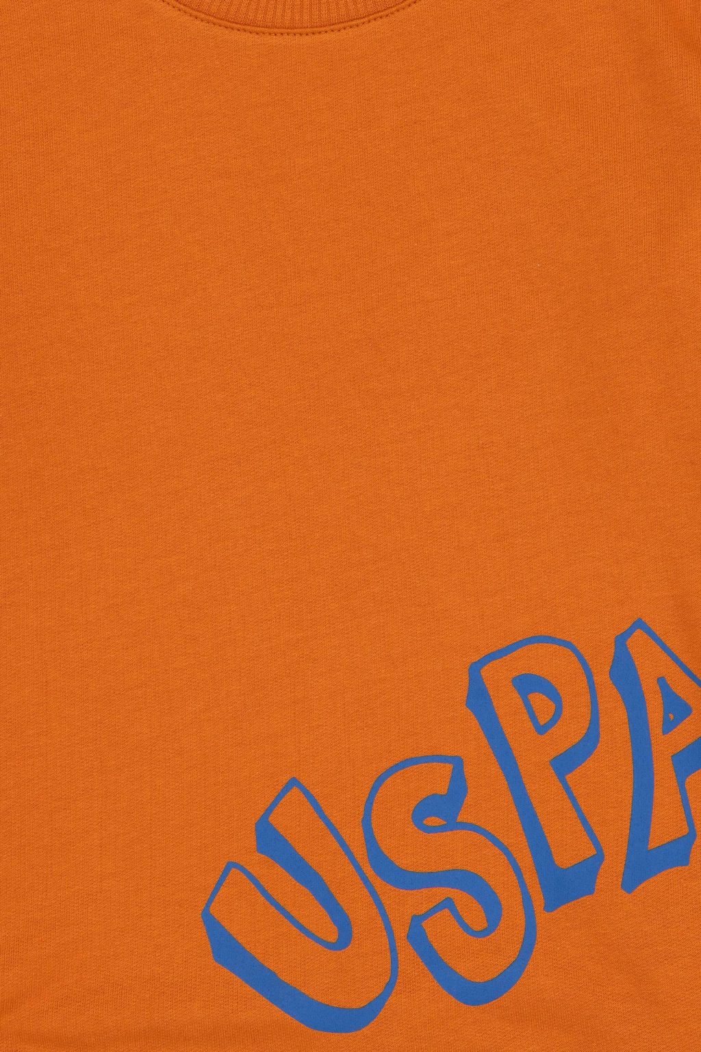 Erkek _ocuk Bak_r Bisiklet Yaka Basic Sweatshirt Sepette S_rpriz _ndirim - U.s. polo assn фото 3