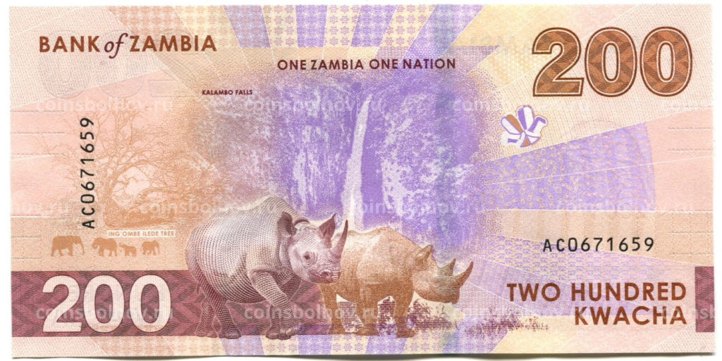 200 квача 2024 года Замбия