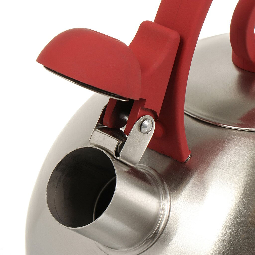 Чайник нерж. сталь, 2.8 л, со свистком, зеркальн., ручка с покр., нейлон, Daniks, индукция GS-04003  фото 5