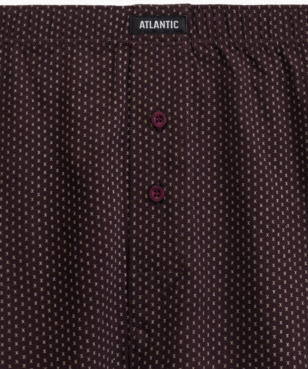 ATLANTIC 2MBX-079 Трусы боксеры Small Print - набор 2 шт. баклажан + изумрудный фото 4