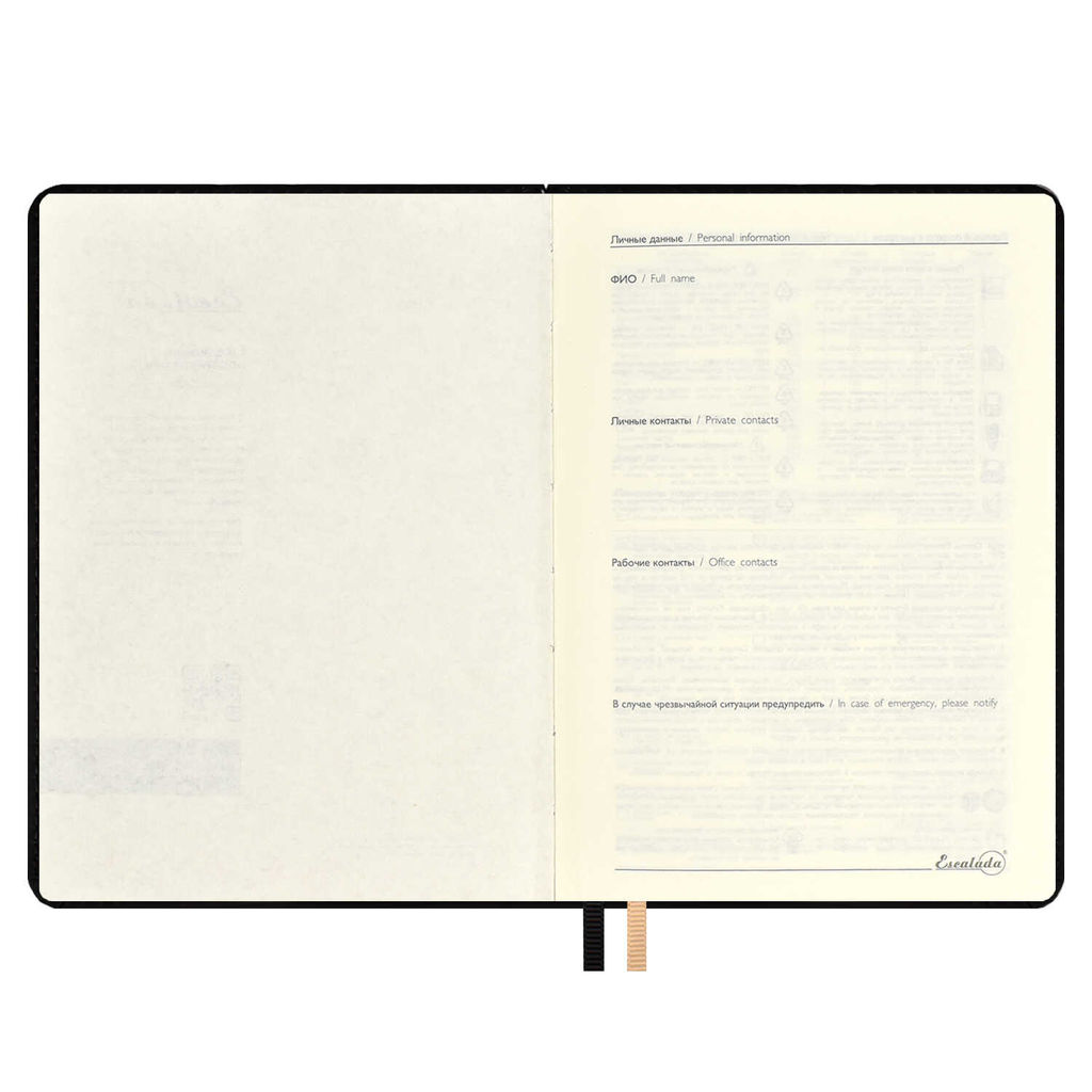 Ежедневник недатированный ESCALADA, А6+, 120 л., арт. 64017/ 15 СОФТ-ТАЧ ЧЁРНЫЙ  фото 4