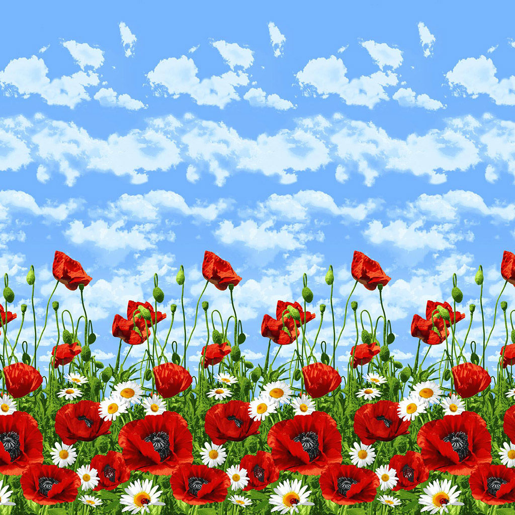 Покрывало стеганое Ромашки и маки 260х215см, спальное место 180см, бязь набивная Комфорт 121г/м2, хлопок 100%, многоигольная стежка, наполнитель синтепон 70гр, подкладка бязь отбеленная 121г/м2, Домашняя мода (Россия)  фото 3