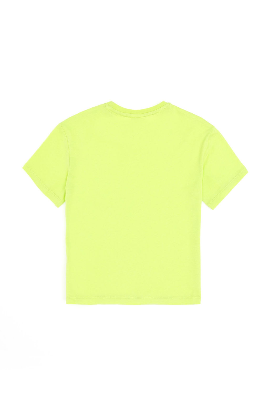 Зеленая базовая футболка для мальчика Неожиданная скидка в корзине - U.s. polo assn фото 2