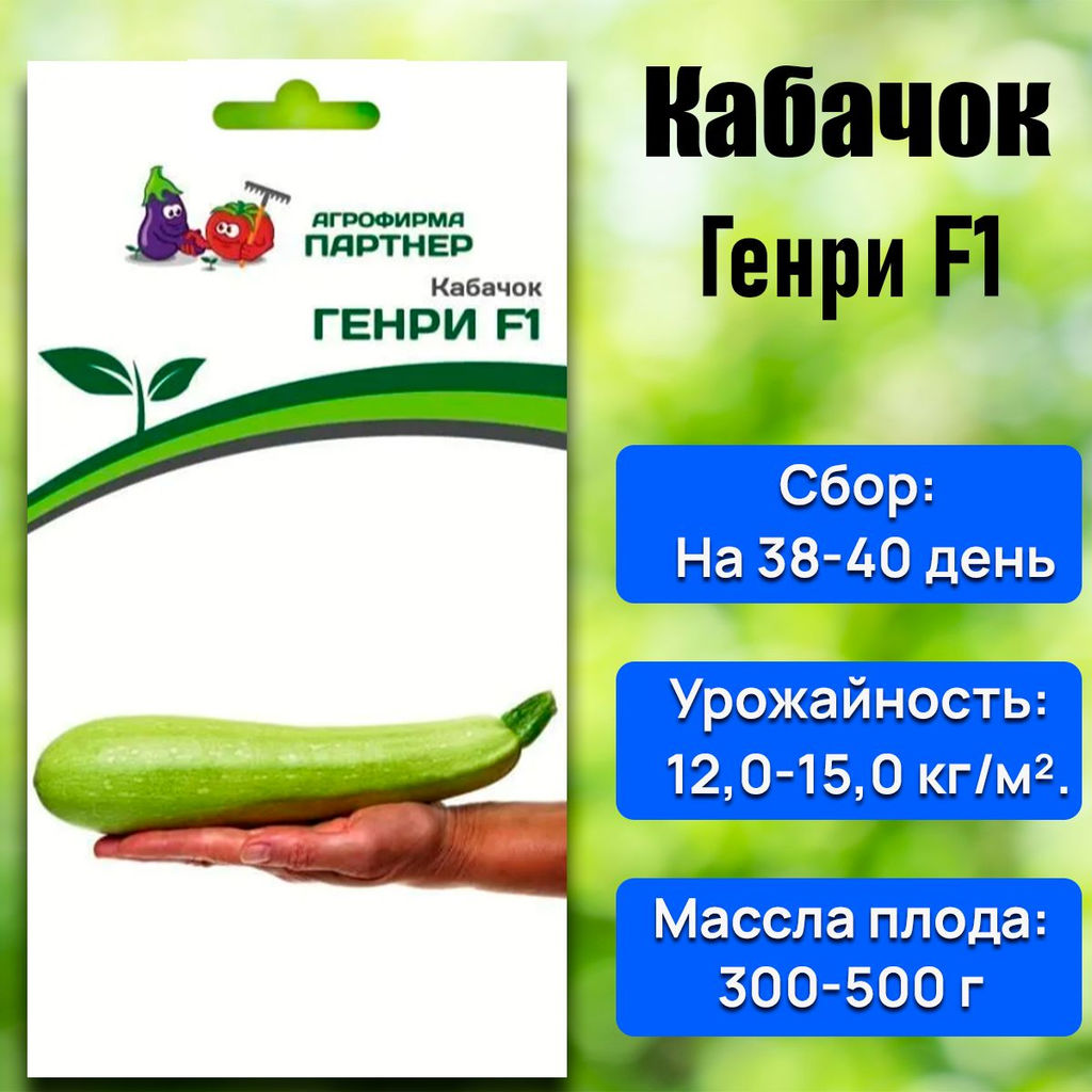 Кабачок Генри - Партнер фото 5