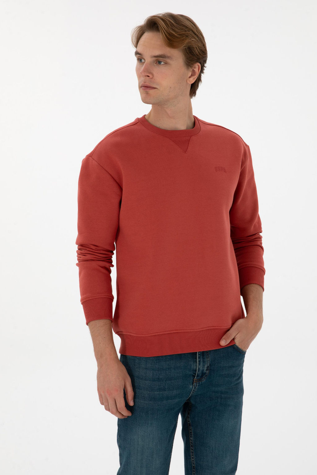 Erkek G_l Kurusu Basic Sweatshirt