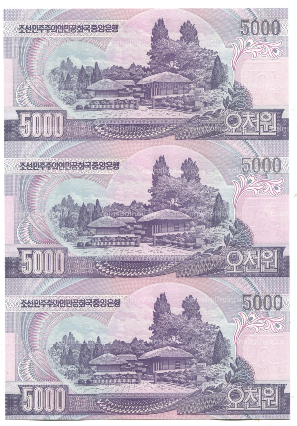 5000 вон 2006 года Северная Корея  Лист из трех банкнот