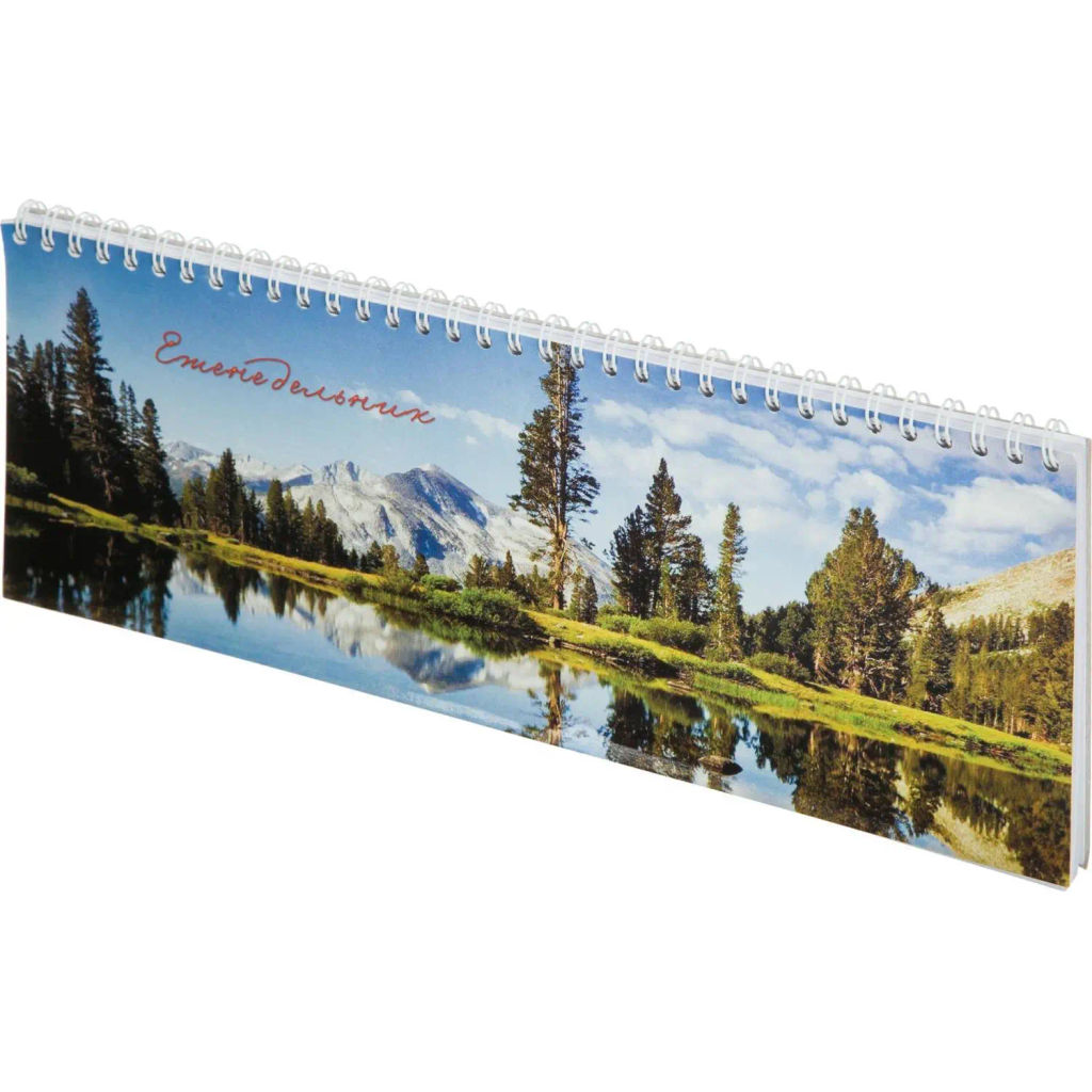 Планинг недатированный 295х100 Attache Economy, 56 л.Пт 4603721416431  фото 2