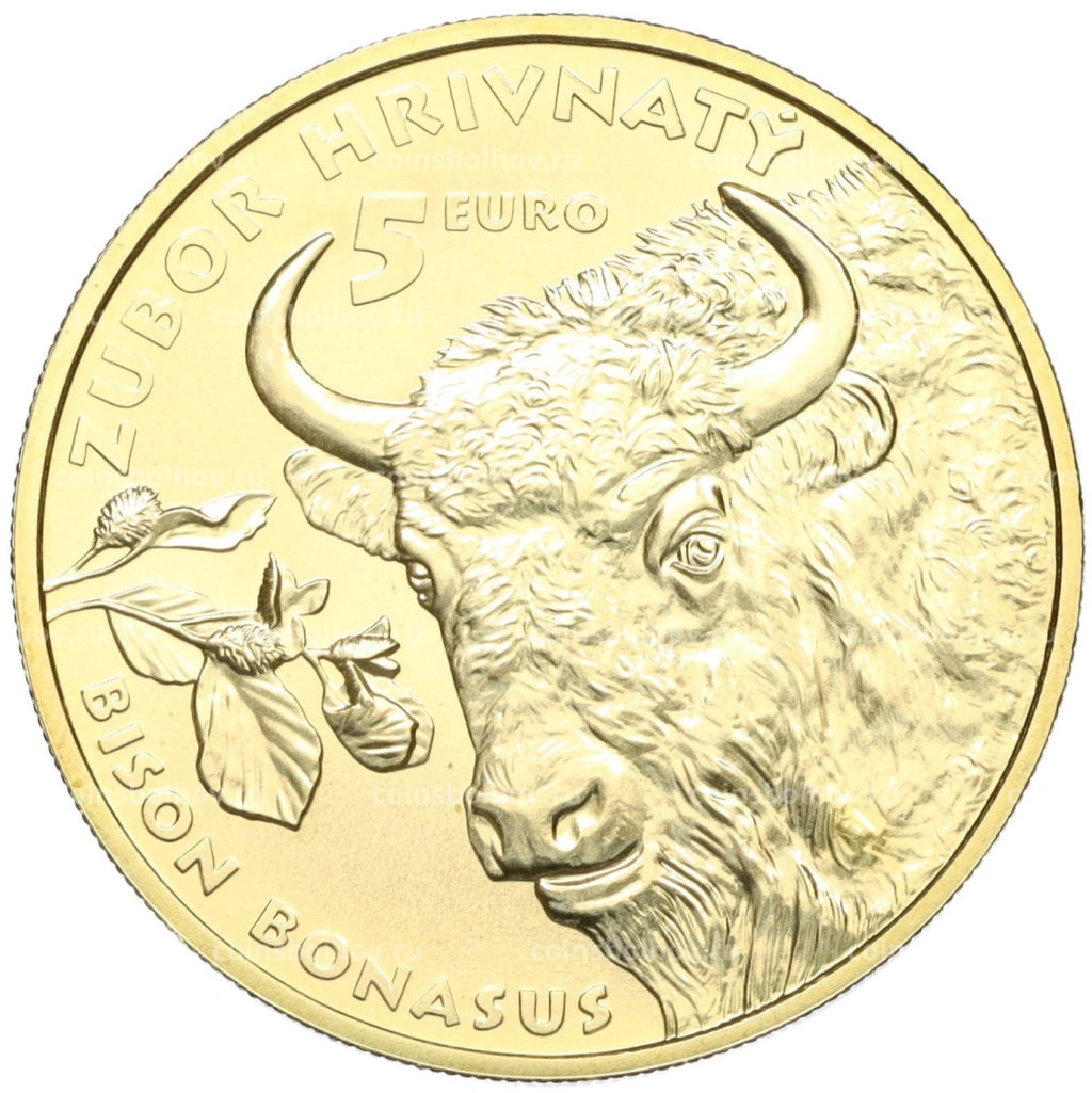 Монета 5 евро 2024 года Словакия Зубр
