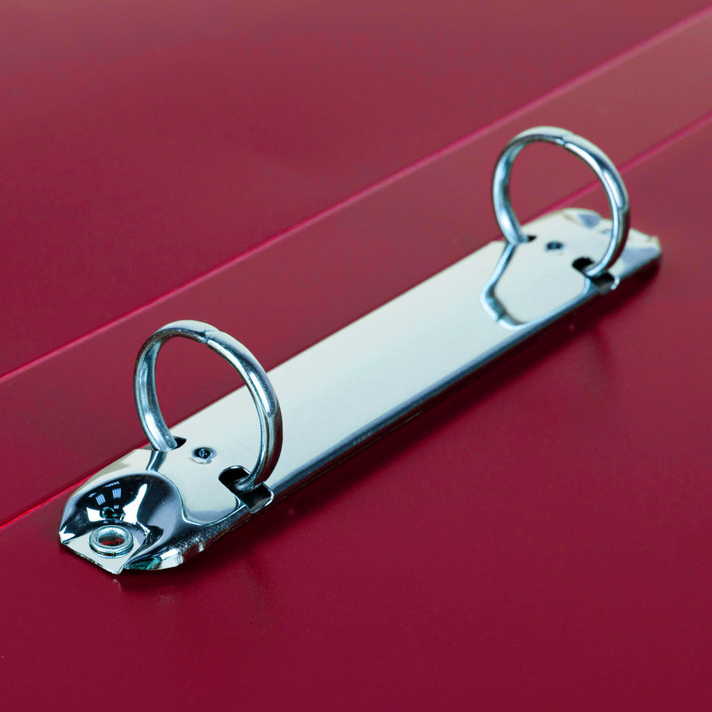 Expert Complete PRISMA Папка на 2 О-кольцах A4 700 мкм 25 мм эффект 3D 4 шт. d - 20 мм рубиновый EC211300026