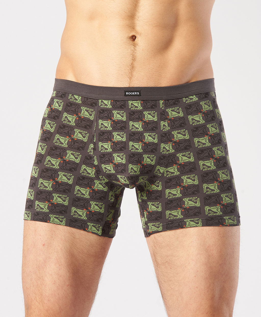 Трусы мужские боксеры Rogers 8702 хлопок, эластан размеры M, L, XL, 2XL фото 9
