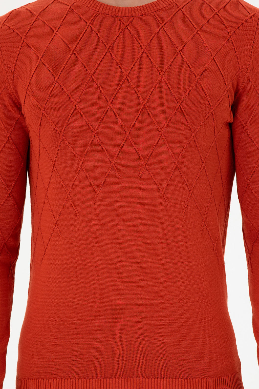 Erkek Slim Fit Bisiklet Yaka Kiremit Kazak - U.s. polo assn фото 13