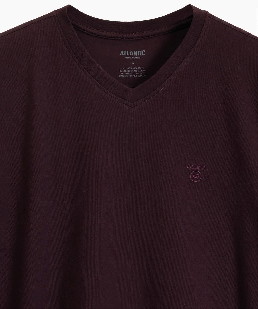 ATLANTIC NMP-389 Пижама мужская Small Print баклажан + черный