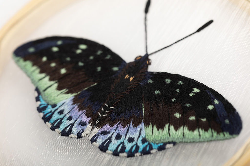 Набор для вышивания PANNA Живая картина JK-2256 Бабочка. Эрцгерцог 13 х 13 см