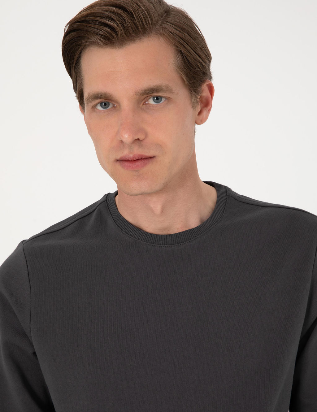 Antrasit 2 _plik Regular Fit Bisiklet Yaka Basic Sweatshirt - Pierre cardin фото 2