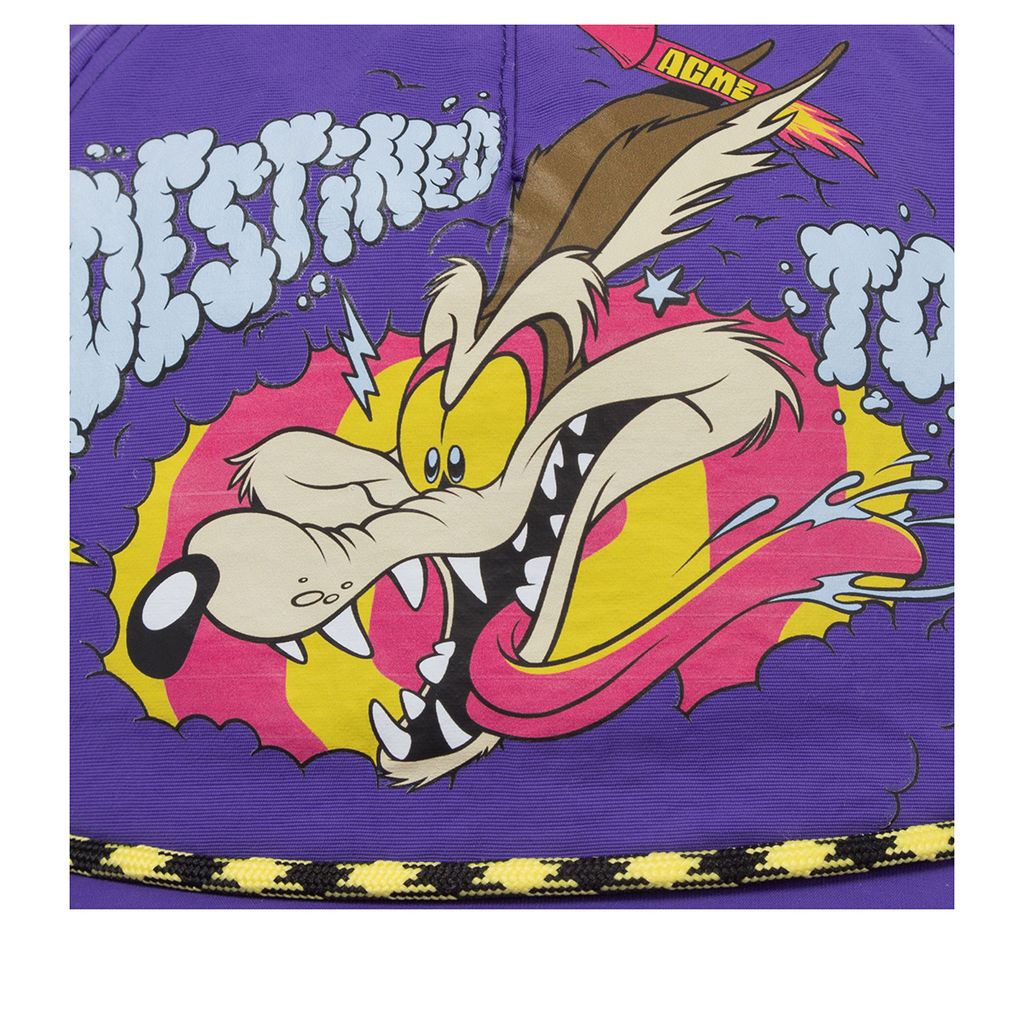 Бейсболка CAPSLAB арт. CL/LOO13/1/CF/DTCB Looney Tunes Wile E. Coyote (сиреневый)