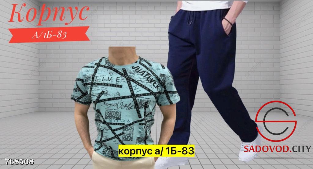 Мужской спортивный костюм двойка