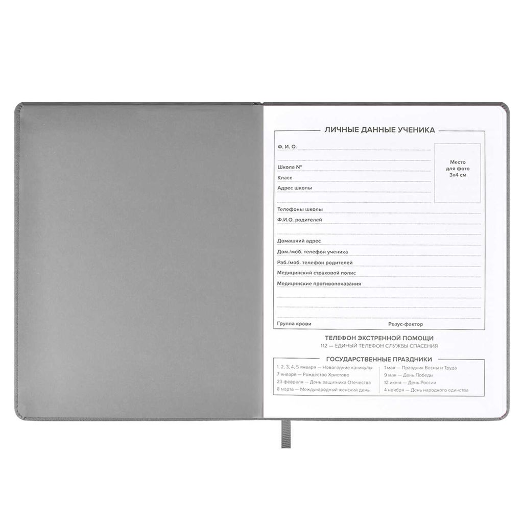 Дневник школьный арт. 59637 / 15 КЕДЫ СЕРЫЕ - Феникс+ фото 5