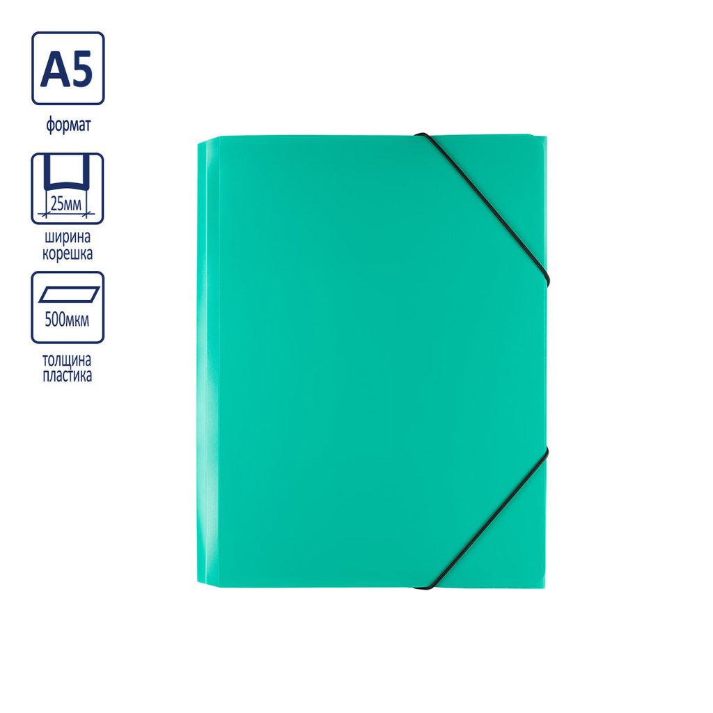 Expert Complete Classic Папка на резинке A5 500 мкм 25 мм песок 6 шт. зеленый ЕС23444513