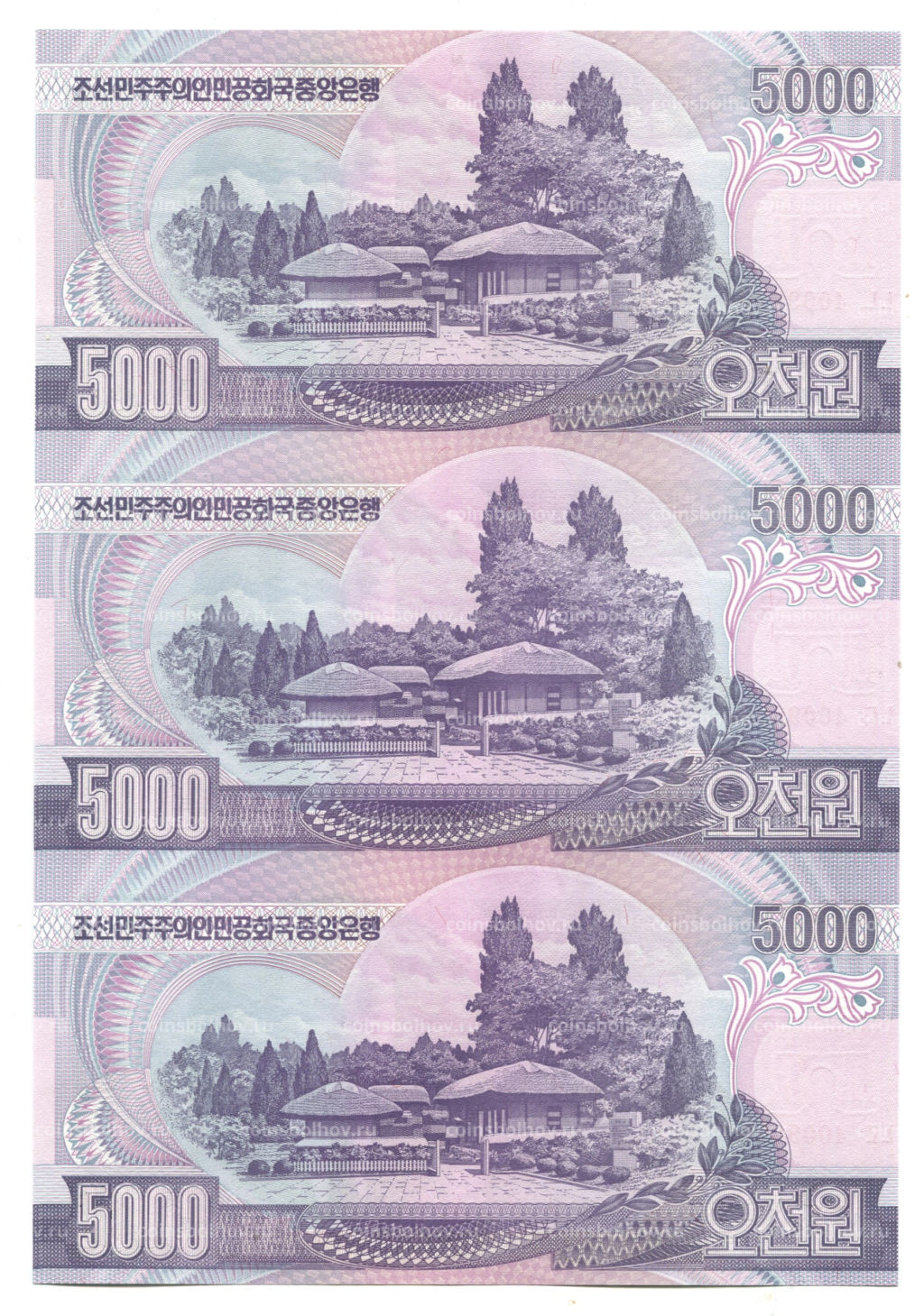 Банкнота 5000 вон 2006 года Северная Корея  Лист из трех банкнот