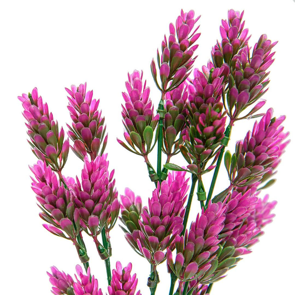 Хмель, В300, розовый - Вещицы фото 5