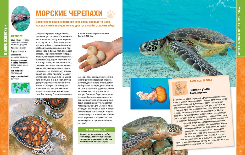 В мире животных (нов.обл.). Энциклопедия. Пратези Ф., Пратези И. - Махаон фото 13