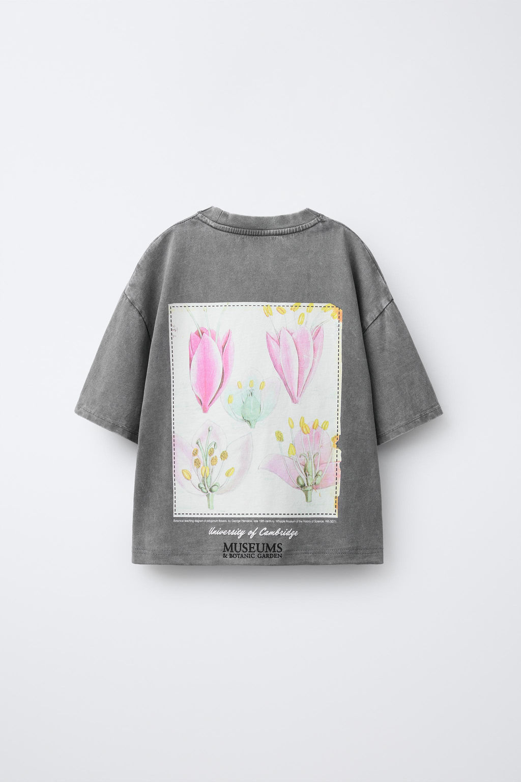 PRINTED T-SHIRT - Zara фото 2
