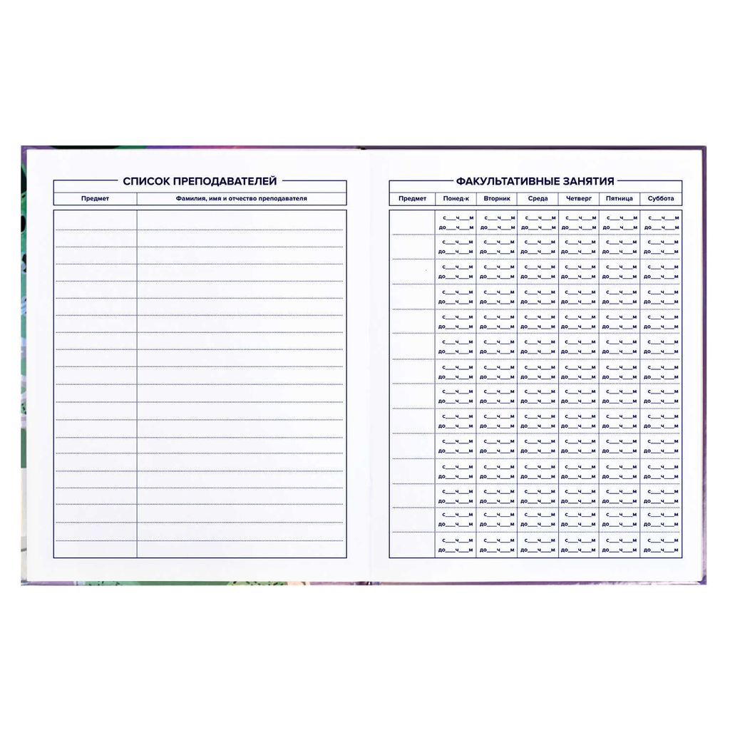 Дневник школьный 5-11 класс арт. 60135 КЕДЫ - Феникс+ фото 7