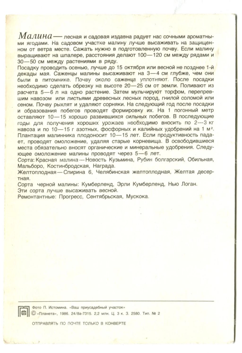 Открытка Малина