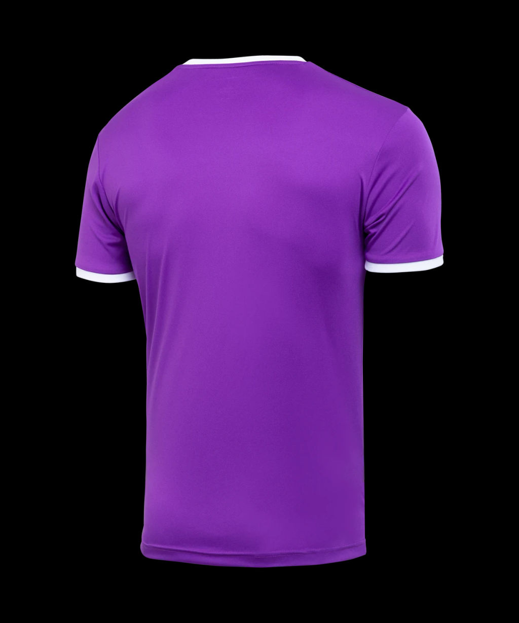 Футболка футбольная JOGEL CAMP Origin, фиолетовый/белый