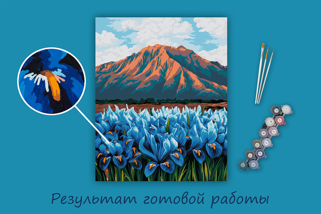 ФРЕЯ PNB/PL-346 Набор для раскрашивания по номерам 50 х 40 см Ирисы в горах