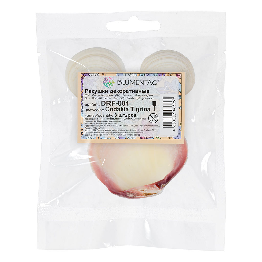 Blumentag / Zlatka DRF-001 Ракушки морские 3 шт. 8.2 см Codakia Tigrina