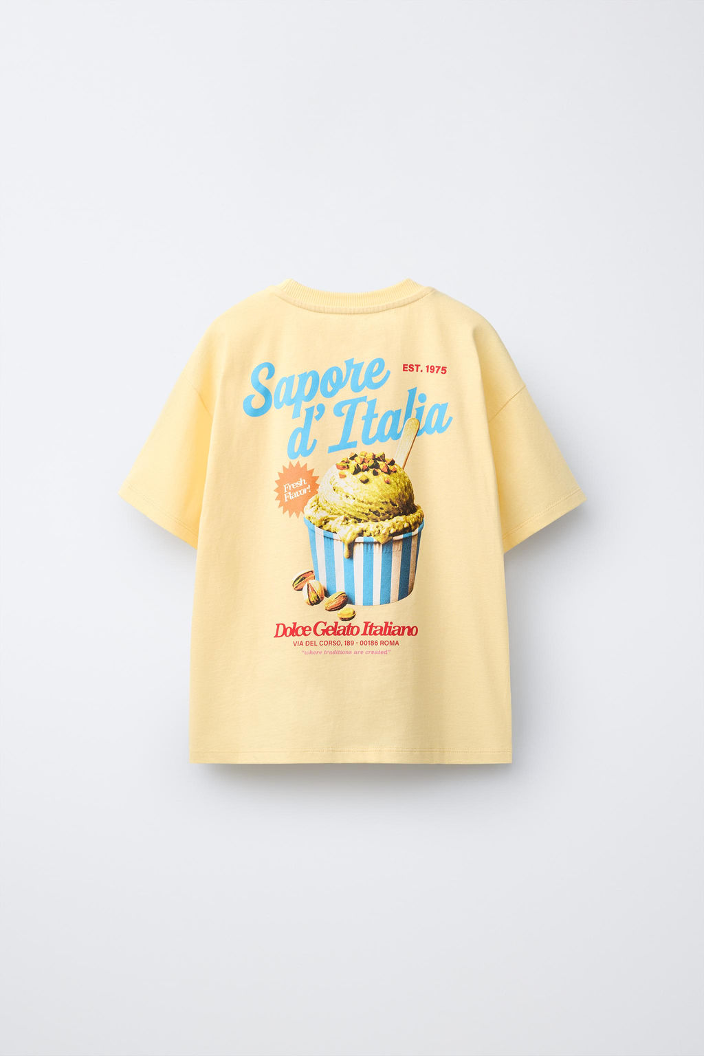 CAMISETA ESTAMPADO / Pistacho