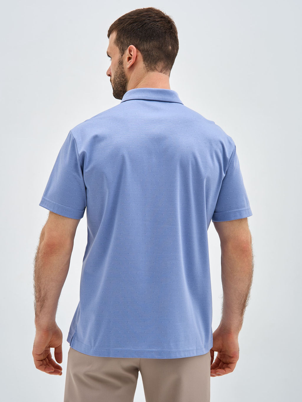 Джемпер мужской с воротником поло короткий рукав GREG G144-PD-LT1322 (голубой) фото 2
