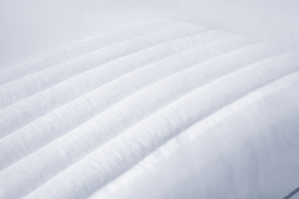 Подушка Модуль. Размер: 50*70 см. Чехол: тик.Напол.:хол-р, лузга