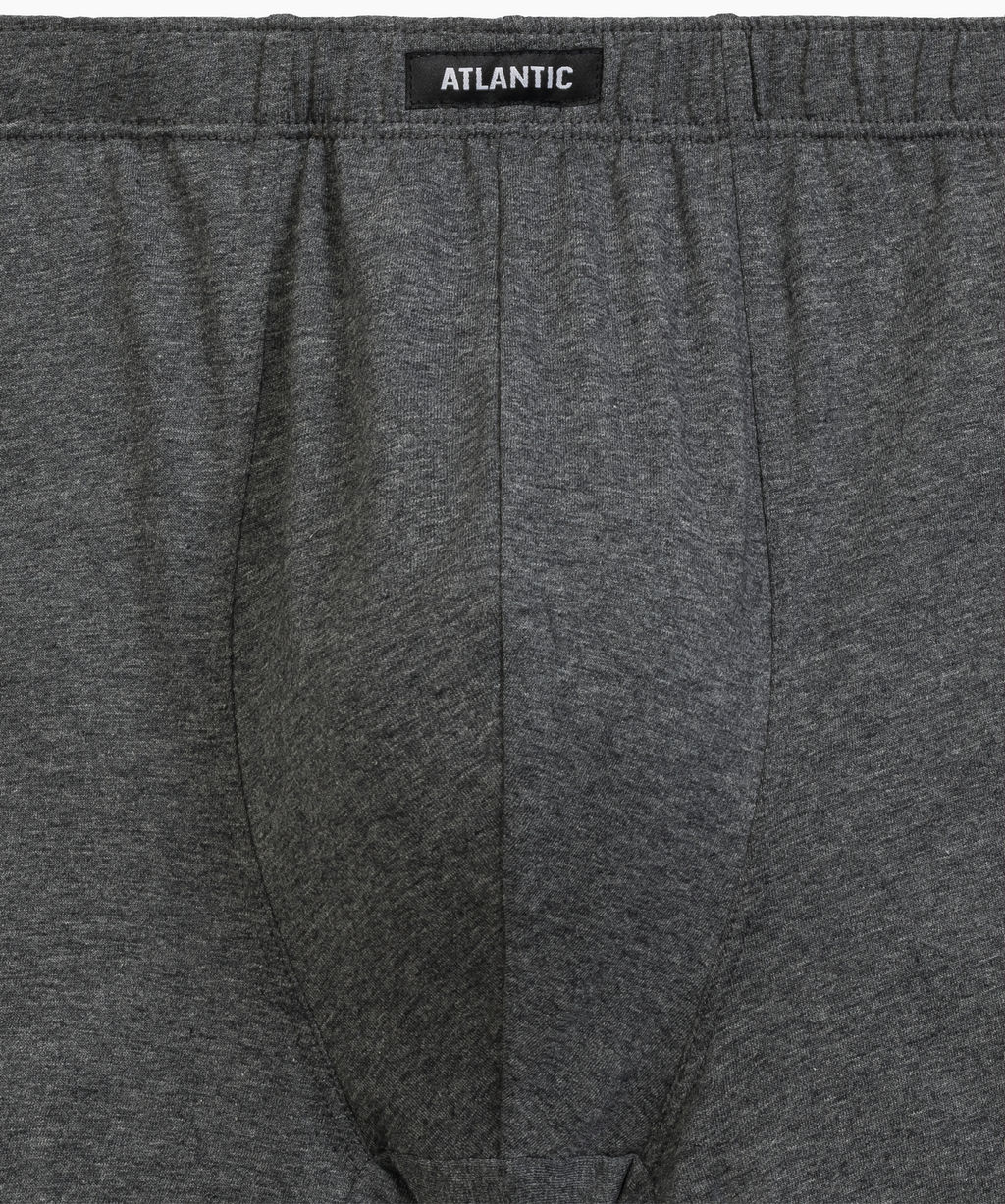 ATLANTIC 3MH-218 Трусы шорты Small Print - набор 3 шт. изумрудный + темно-серый меланж + баклажан  фото 5